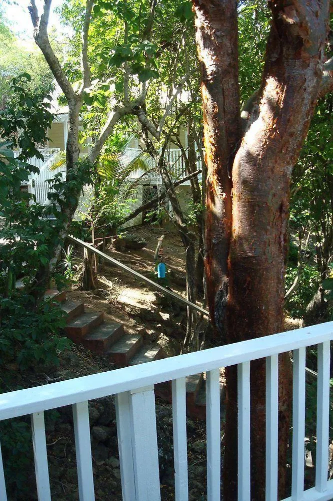 Galley Bay Cottages Five Islands Village Hotel
